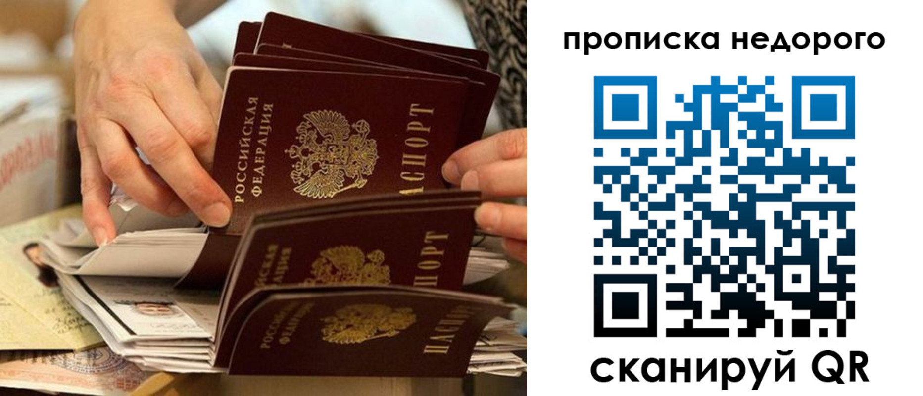 миграционный учет в Амурской области